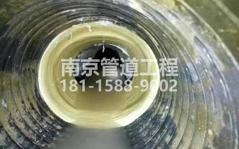 226将军庙树脂修复